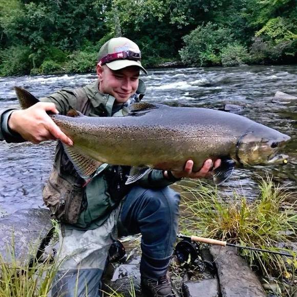 Meet your Posher, Brandon - Picture 1 of 1